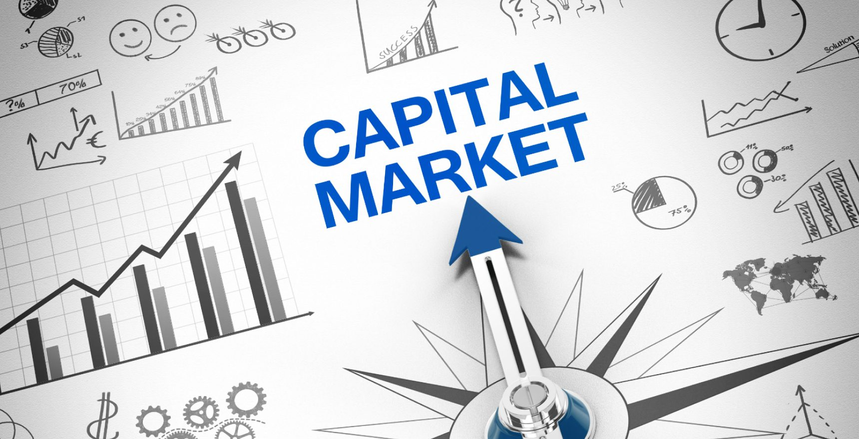 Understanding the Role of Capital Markets in SME Growth